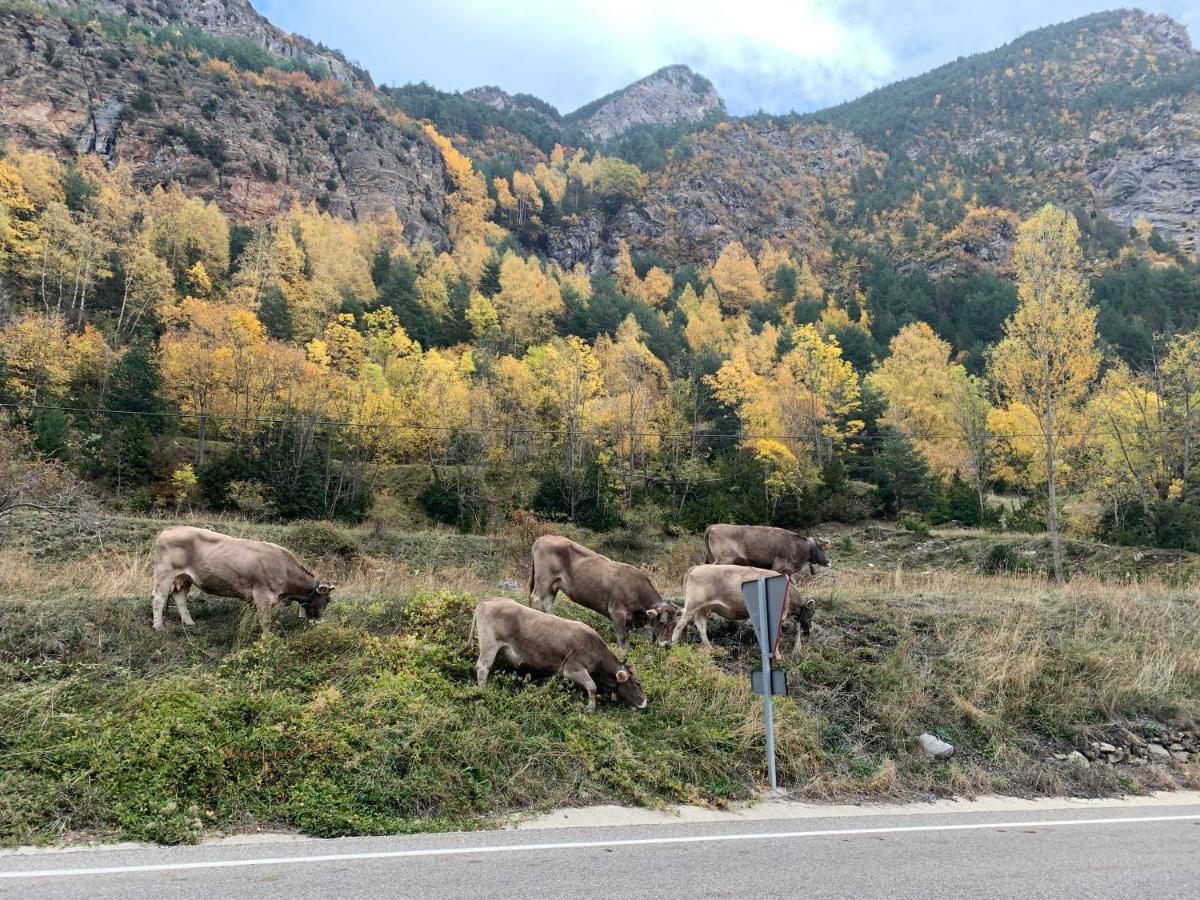 Chalet En El Pirineo De Aragon Neril المظهر الخارجي الصورة